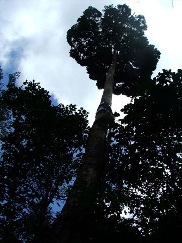 DSCF1524