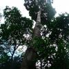 DSCF1525