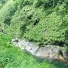 DSCF1533_001
