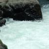 DSCF1544
