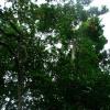 DSCF1624