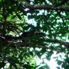 DSCF1628