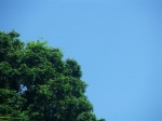 DSCF1434