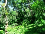 DSCF1437