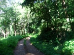 DSCF1439
