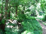 DSCF1440