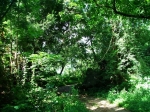 DSCF1441