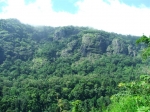 DSCF1444