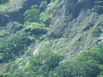 DSCF1452