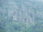 DSCF1457