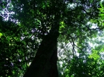 DSCF1461