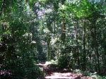 DSCF1462