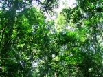 DSCF1463