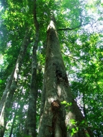 DSCF1467
