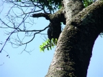 DSCF1469