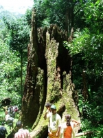 DSCF1479