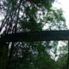DSCF1486
