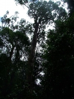 DSCF1490