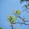 DSCF1495