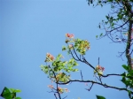 DSCF1496