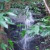 DSCF1504