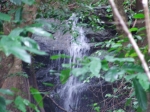 DSCF1504