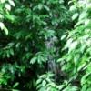 DSCF1505