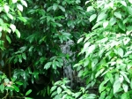DSCF1505