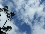 DSCF1512