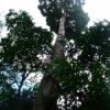 DSCF1525