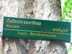 DSCF1526