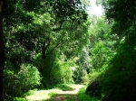 DSCF1530