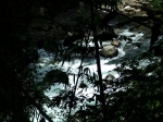 DSCF1531
