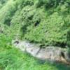 DSCF1533_001