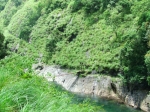 DSCF1533_001
