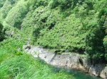 DSCF1533