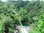 DSCF1534