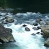 DSCF1536