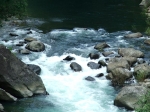 DSCF1536