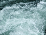 DSCF1540