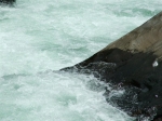 DSCF1543