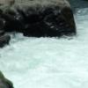 DSCF1544