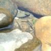 DSCF1548