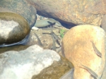 DSCF1548