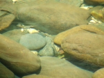 DSCF1549