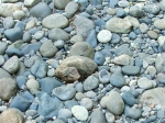 DSCF1550