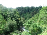 DSCF1580
