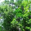 DSCF1582