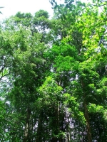 DSCF1582