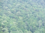 DSCF1599